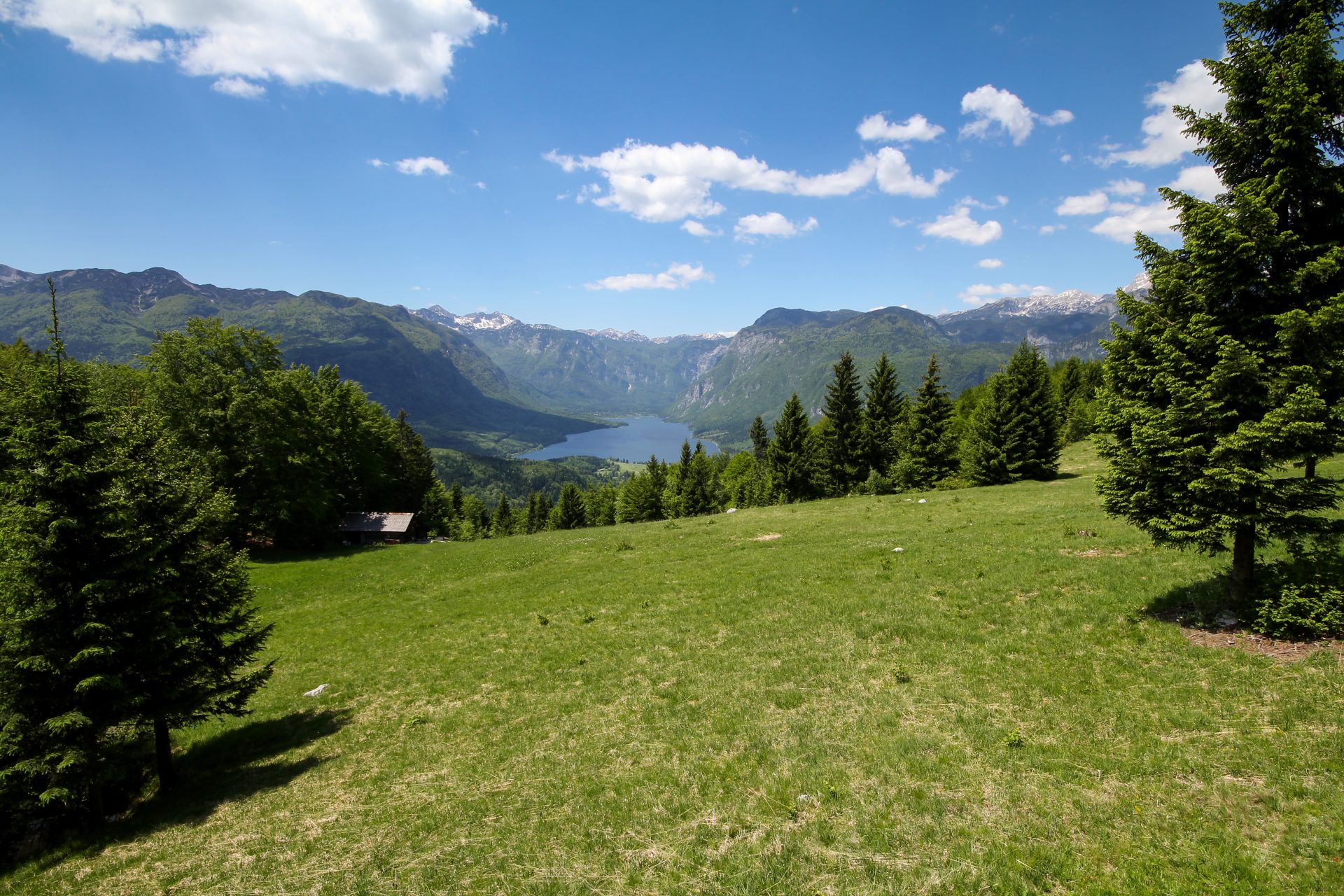 rudnica-mitja-sodja