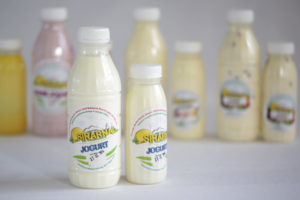 Prangarčk's yoghurt