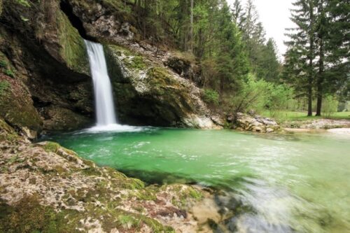 35502868