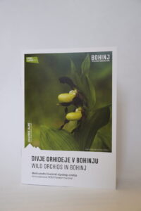 Divje orhideje v Bohinju