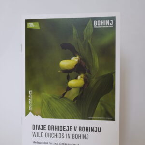 Divje orhideje v Bohinju