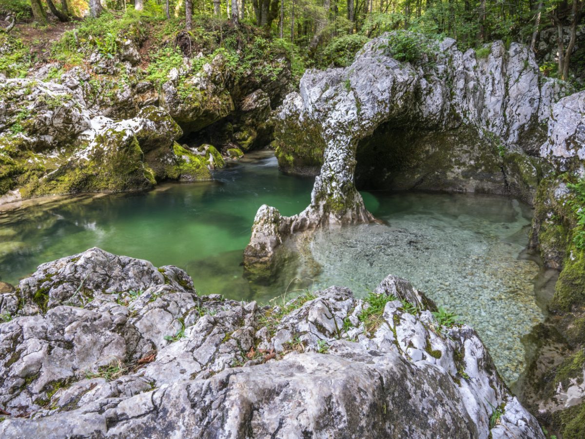 Mojca_Odar_pohodnistvo_Mostnica_025