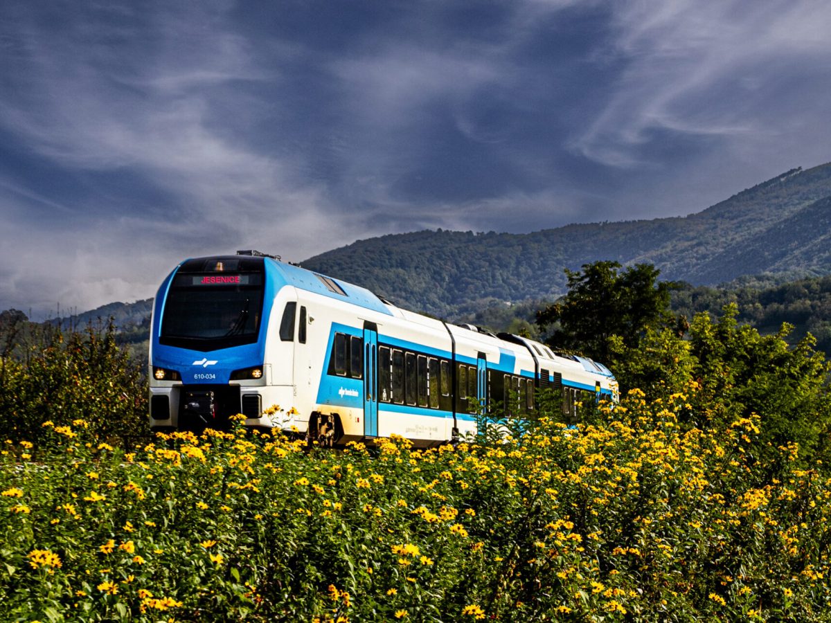 ZEL22-7089_Prvacina_mk_P