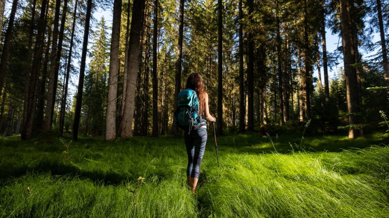 juliana-trail-etapa6-goreljek-pokljuka-stara-fuzina-mitja-sodja-41