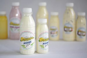 bohinjsko-navadni-jogurt-prangarck-01